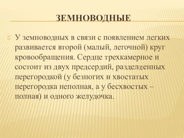 ЗЕМНОВОДНЫЕ У земноводных в связи с появлением легких развивается второй (малый,