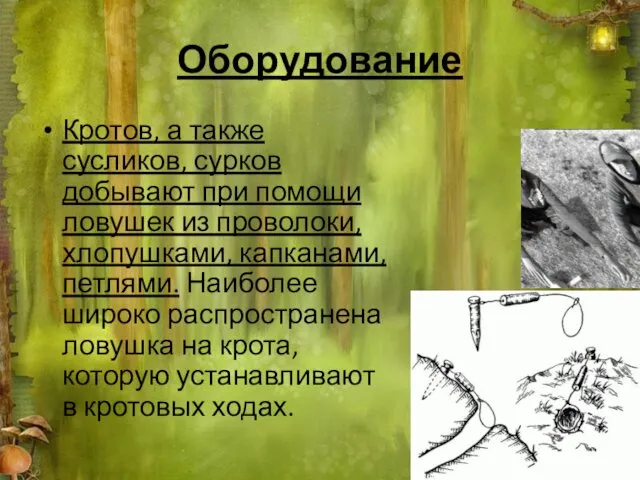 Оборудование Кротов, а также сусликов, сурков добывают при помощи ловушек из