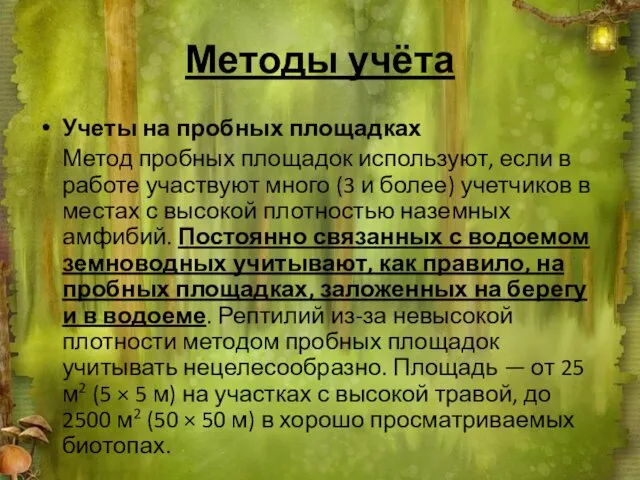 Методы учёта Учеты на пробных площадках Метод пробных площадок используют, если