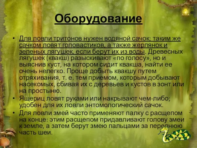 Оборудование Для ловли тритонов нужен водяной сачок; таким же сачком ловят