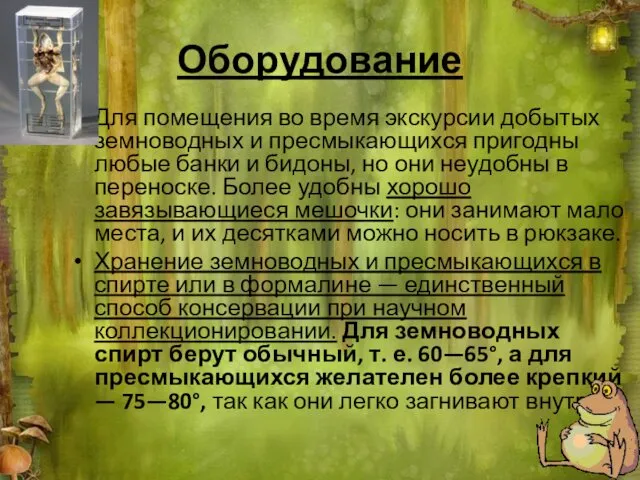 Оборудование Для помещения во время экскурсии добытых земноводных и пресмыкающихся пригодны