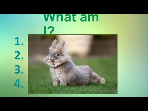 What am I? 1. I am very cute. 2. I can