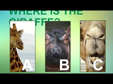 WHERE IS THE GIRAFFE? A B C