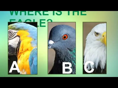 WHERE IS THE EAGLE? A B C