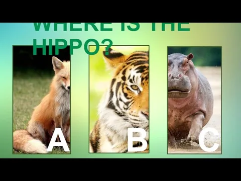 WHERE IS THE HIPPO? A B C