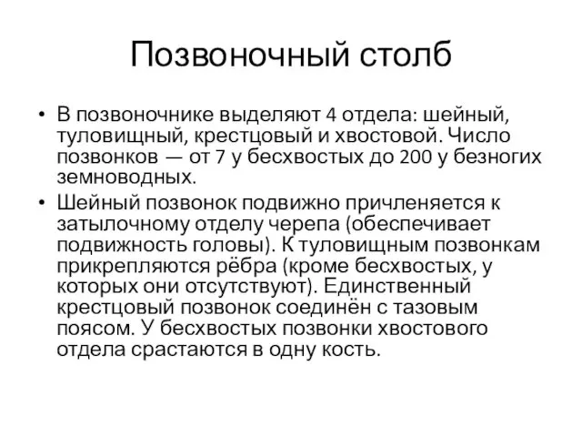 Позвоночный столб В позвоночнике выделяют 4 отдела: шейный, туловищный, крестцовый и