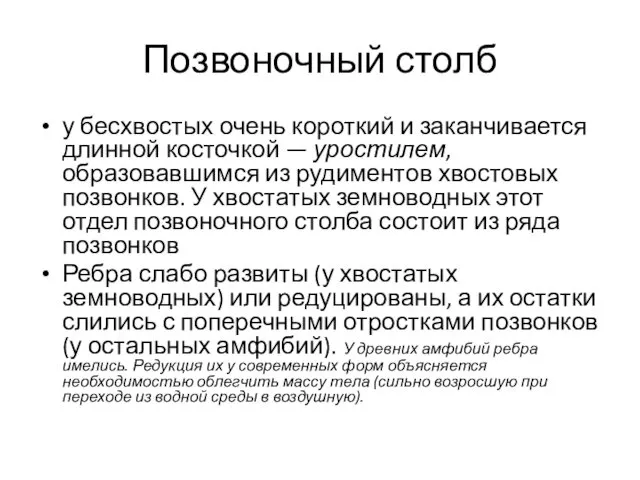 Позвоночный столб у бесхвостых очень короткий и заканчивается длинной косточкой —