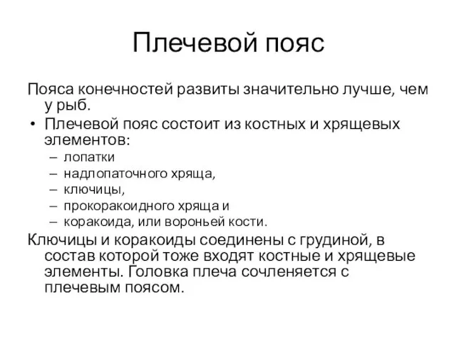 Плечевой пояс Пояса конечностей развиты значительно лучше, чем у рыб. Плечевой