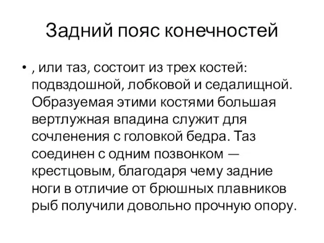 Задний пояс конечностей , или таз, состоит из трех костей: подвздошной,