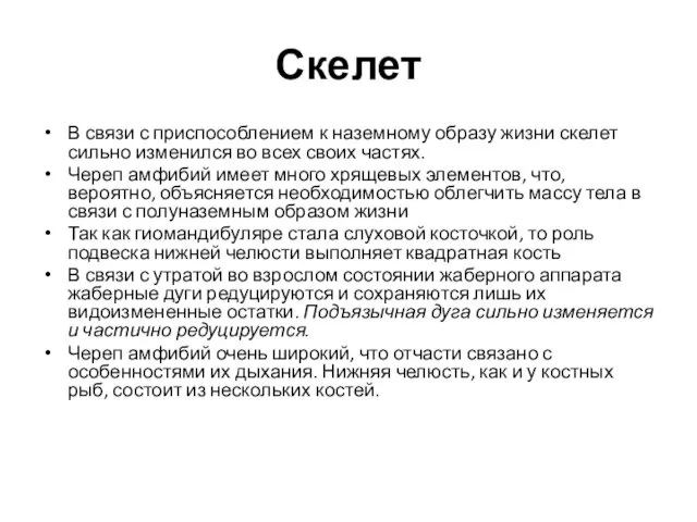 Скелет В связи с приспособлением к наземному образу жизни скелет сильно