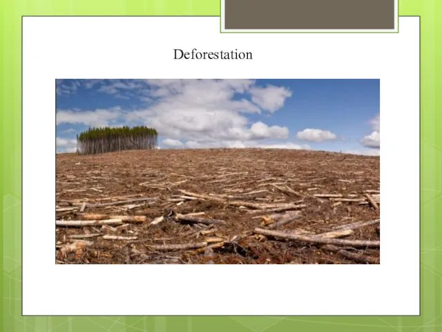 Deforestation