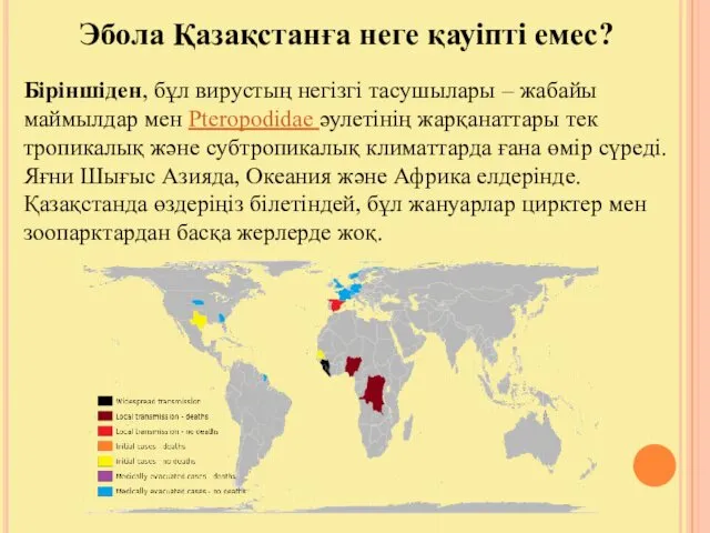 Эбола Қазақстанға неге қауіпті емес? Біріншіден, бұл вирустың негізгі тасушылары –