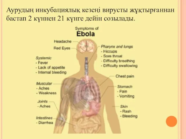 Аурудың инкубациялық кезеңі вирусты жұқтырғаннан бастап 2 күннен 21 күнге дейін созылады.