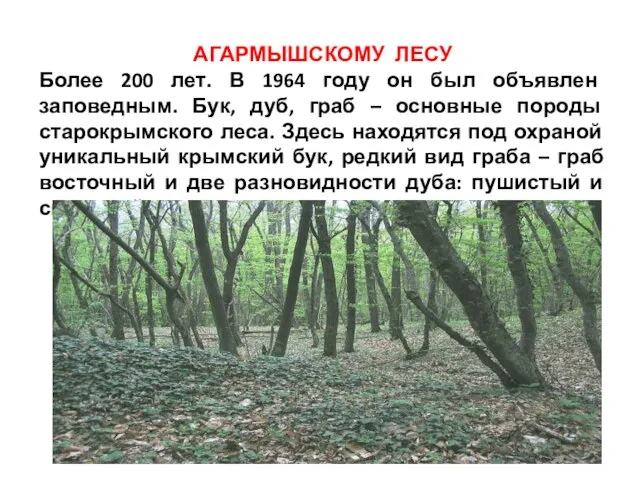 АГАРМЫШСКОМУ ЛЕСУ Более 200 лет. В 1964 году он был объявлен