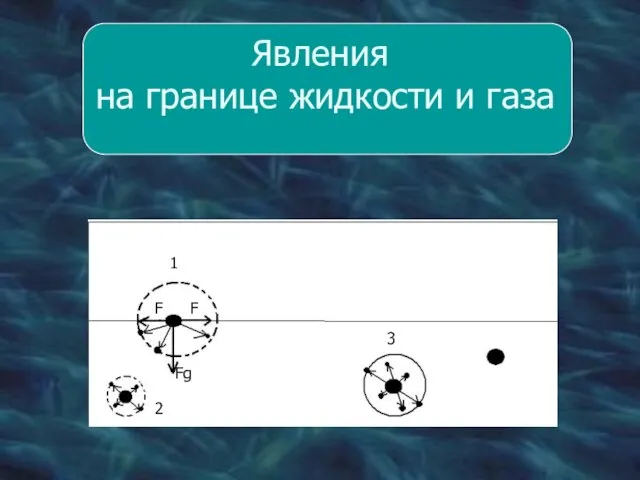 Явления на границе жидкости и газа 1 Fg F F 2 3