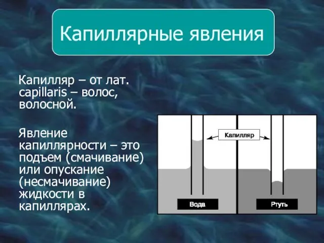 Капиллярные явления Капилляр – от лат. сapillaris – волос, волосной. Явление