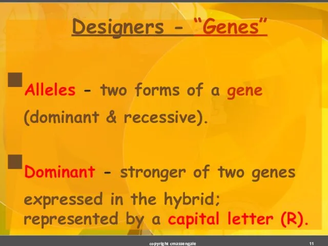 Designers - “Genes” Alleles - two forms of a gene (dominant