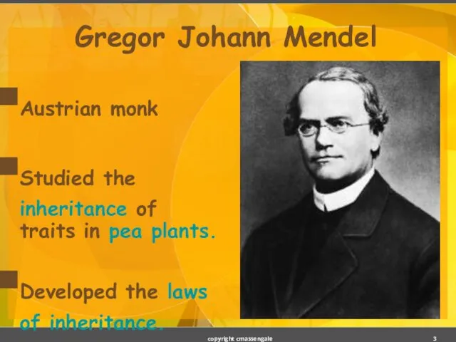 Gregor Johann Mendel Austrian monk Studied the inheritance of traits in