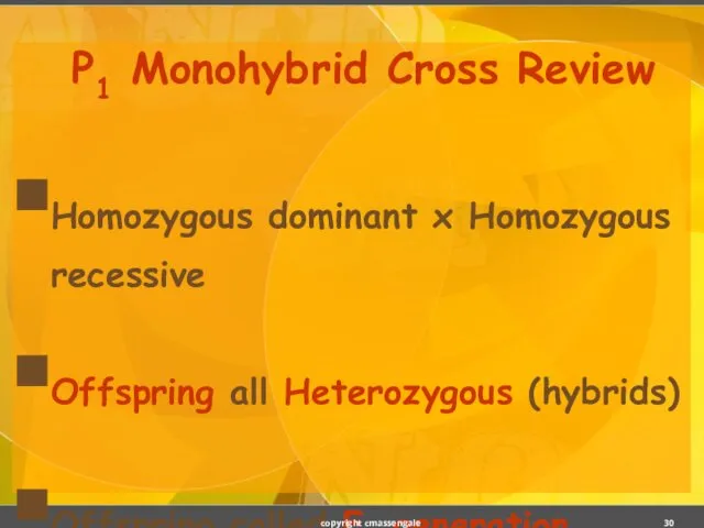 P1 Monohybrid Cross Review Homozygous dominant x Homozygous recessive Offspring all