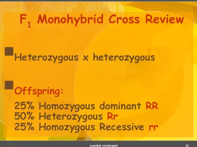 F1 Monohybrid Cross Review Heterozygous x heterozygous Offspring: 25% Homozygous dominant