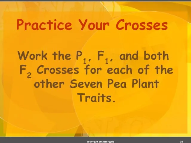 Practice Your Crosses Work the P1, F1, and both F2 Crosses