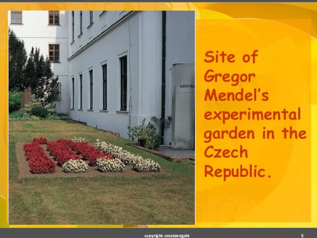 Site of Gregor Mendel’s experimental garden in the Czech Republic. copyright cmassengale