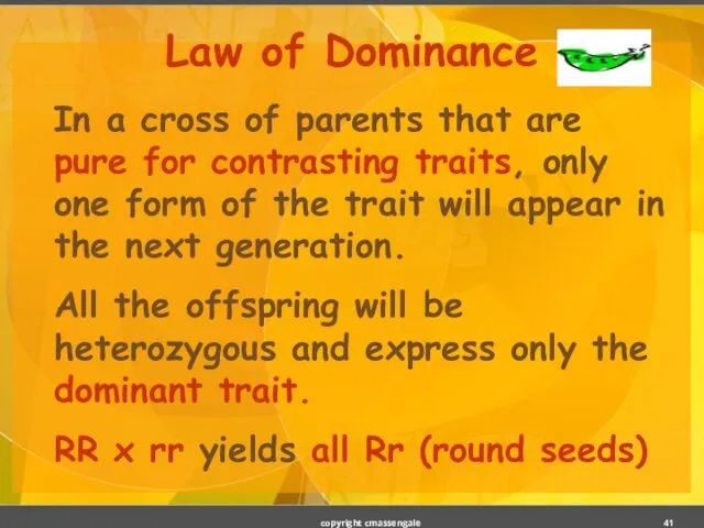 Law of Dominance In a cross of parents that are pure