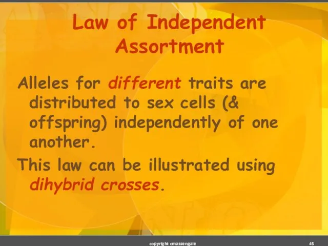 Law of Independent Assortment Alleles for different traits are distributed to