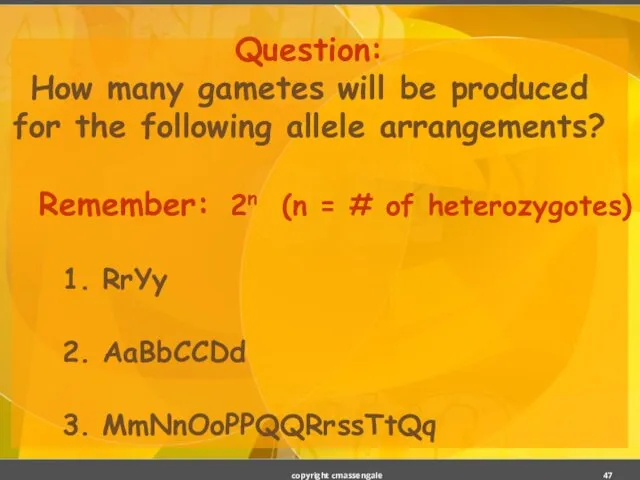 Question: How many gametes will be produced for the following allele