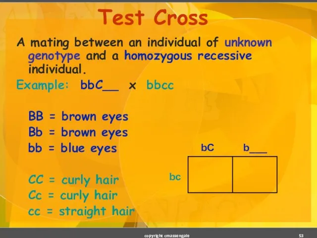 Test Cross A mating between an individual of unknown genotype and