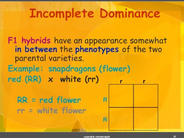 Incomplete Dominance F1 hybrids have an appearance somewhat in between the