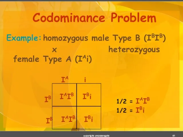 Codominance Problem Example: homozygous male Type B (IBIB) x heterozygous female Type A (IAi) copyright cmassengale