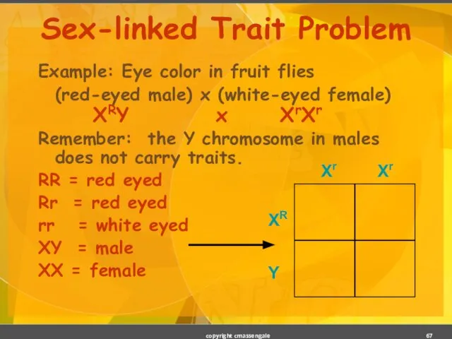 Sex-linked Trait Problem Example: Eye color in fruit flies (red-eyed male)