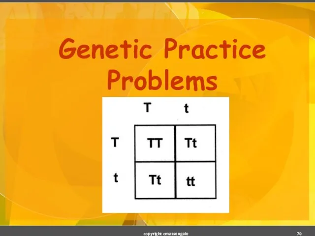 Genetic Practice Problems copyright cmassengale