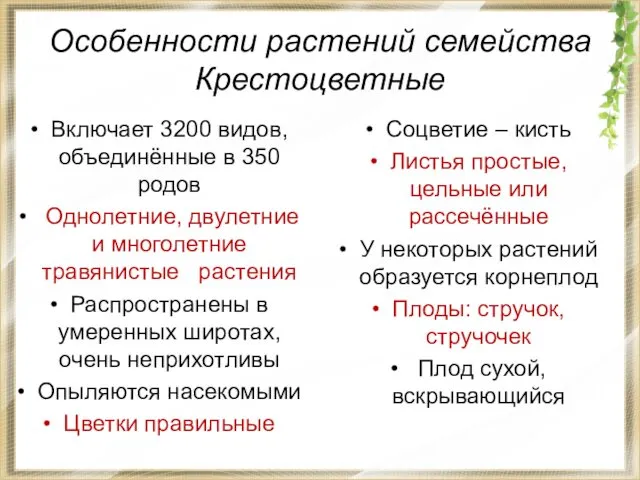 Особенности растений семейства Крестоцветные Включает 3200 видов, объединённые в 350 родов