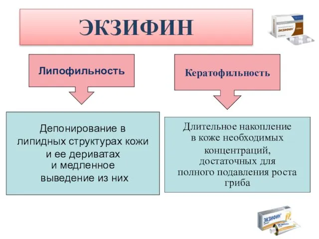 ЭКЗИФИН Липофильность Кератофильность Депонирование в липидных структурах кожи и ее дериватах