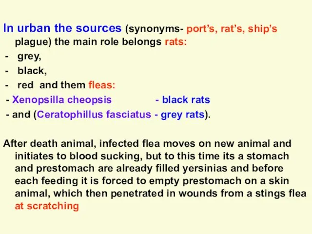 In urban the sources (synonyms- port’s, rat’s, ship’s plague) the main