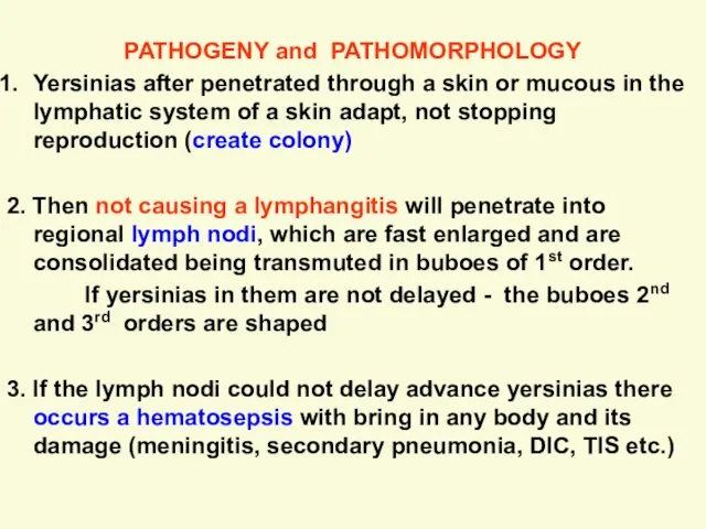 PATHOGENY and PATHOMORPHOLOGY Yersinias after penetrated through a skin or mucous