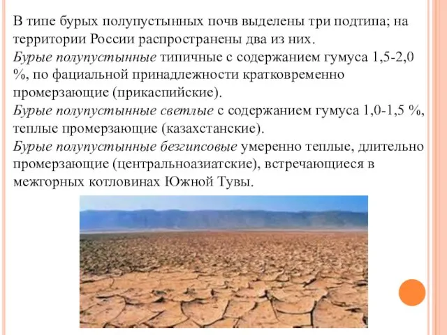 В типе бурых полупустынных почв выделены три подтипа; на территории России