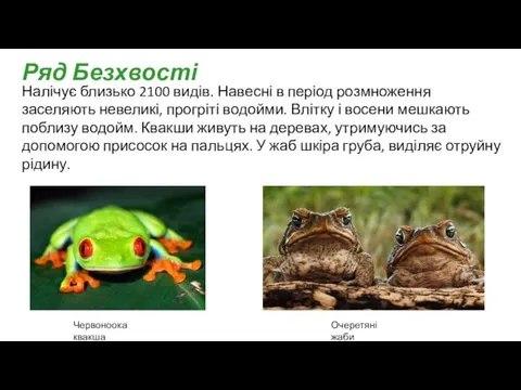 Налічує близько 2100 видів. Навесні в період розмноження заселяють невеликі, прогріті