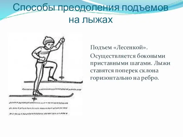 Способы преодоления подъемов на лыжах Подъем «Лесенкой». Осуществляется боковыми приставными шагами.