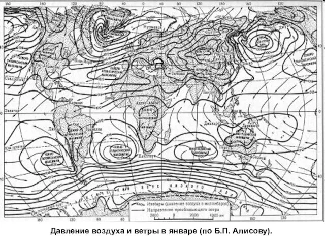 Давление воздуха и ветры в январе (по Б.П. Алисову).