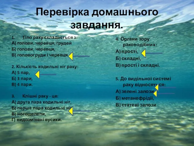 Перевірка домашнього завдання. 1. Тіло раку складається з: А) голови, черевця,