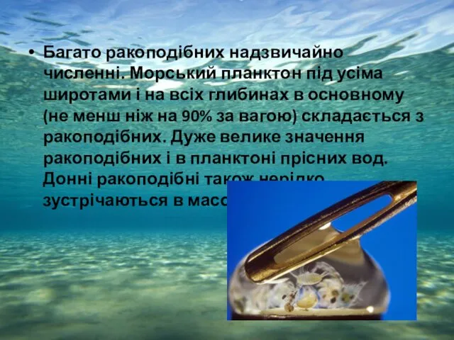 Багато ракоподібних надзвичайно численні. Морський планктон під усіма широтами і на