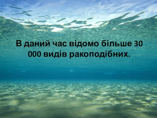 В даний час відомо більше 30 000 видів ракоподібних.