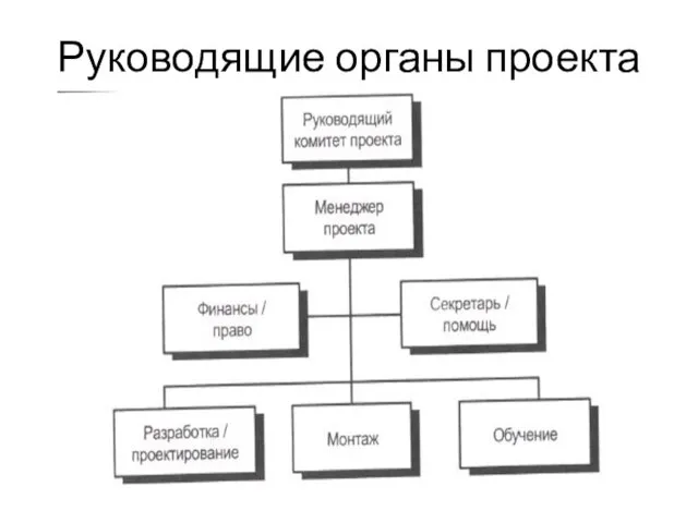 Руководящие органы проекта