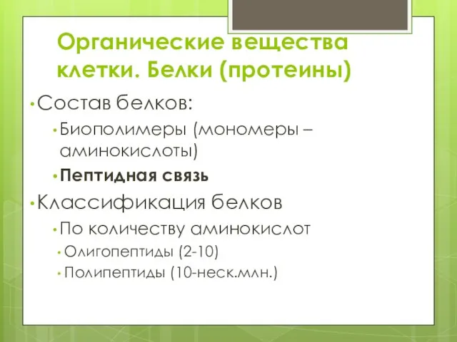 Органические вещества клетки. Белки (протеины) Состав белков: Биополимеры (мономеры – аминокислоты)