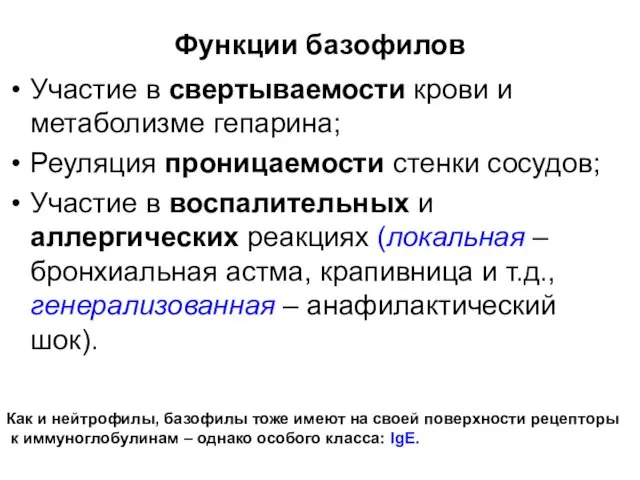 Функции базофилов Участие в свертываемости крови и метаболизме гепарина; Реуляция проницаемости