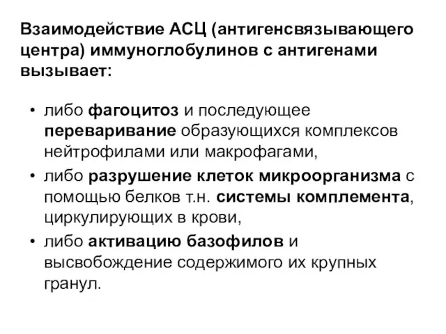 либо фагоцитоз и последующее переваривание образующихся комплексов нейтрофилами или макрофагами, либо