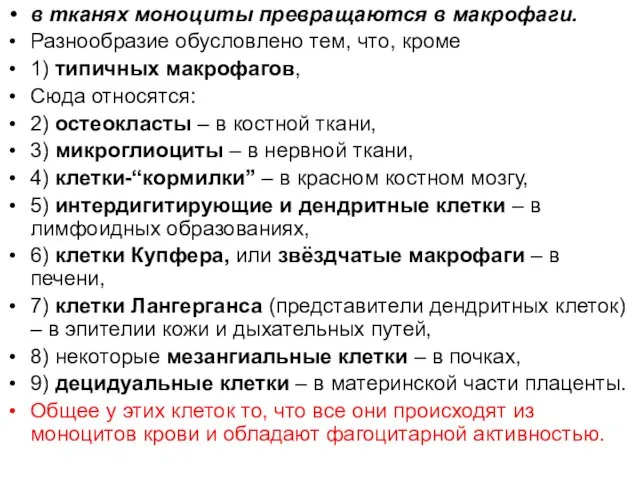 в тканях моноциты превращаются в макрофаги. Разнообразие обусловлено тем, что, кроме